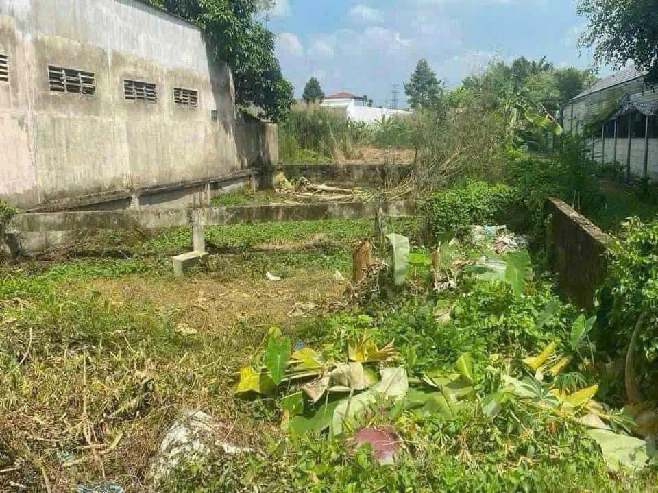 Đất nền mặt tiền TL925, Cái Răng, 253m² - Tiềm năng đầu tư lớn!