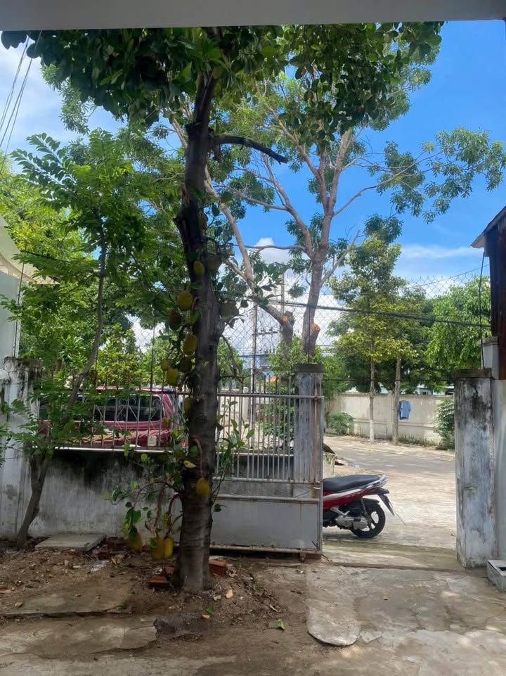 Đất mặt tiền đường Phòng Không, Nha Trang 96m² giá 6.7 tỷ - Cơ hội đầu tư hiếm có!