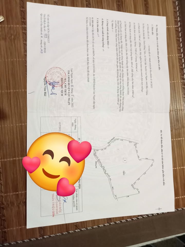 Đất thổ cư Tân Lập Lục Ngạn 7000m² giá chỉ 2 tỷ - Cơ hội đầu tư hiếm có!