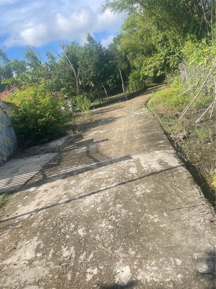 Đất nền thổ cư Hà Lam - Thăng Bình - 126m² - Sổ hồng chính chủ, pháp lý rõ ràng