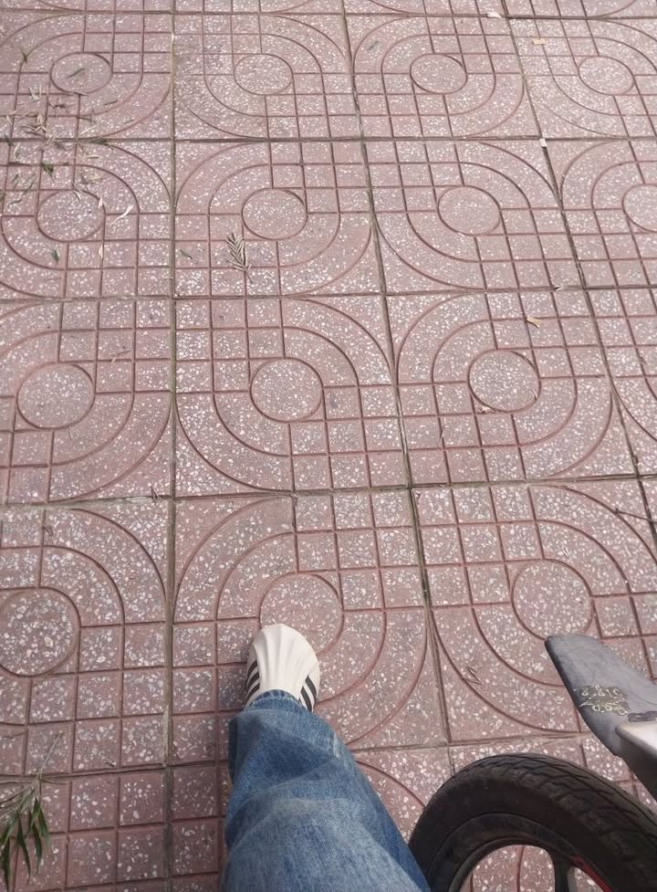 Đất thổ cư Tân Hội, Lâm Hà 536m² giá 32.16 tỷ - Cơ hội đầu tư tuyệt vời!