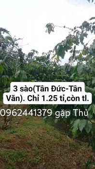 Đất nền Tân Văn, Lâm Hà 1200m² giá 1.25 tỷ - Sổ đỏ chính chủ