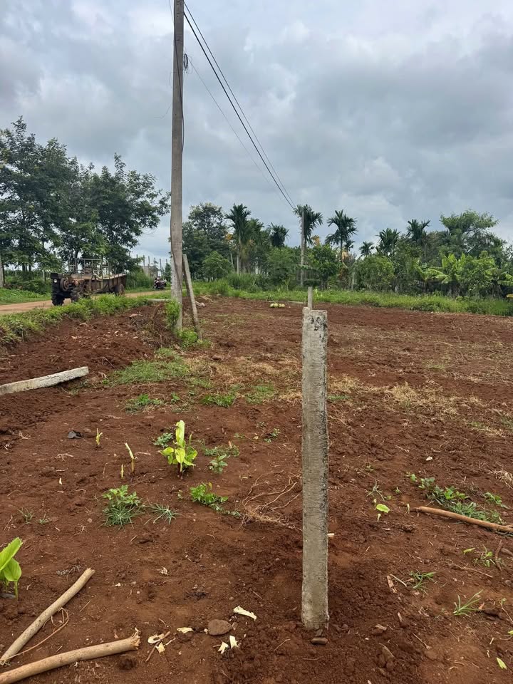 Đất nền thổ cư Phú Xuân 500m² giá 399 triệu - Cơ hội đầu tư hiếm có!