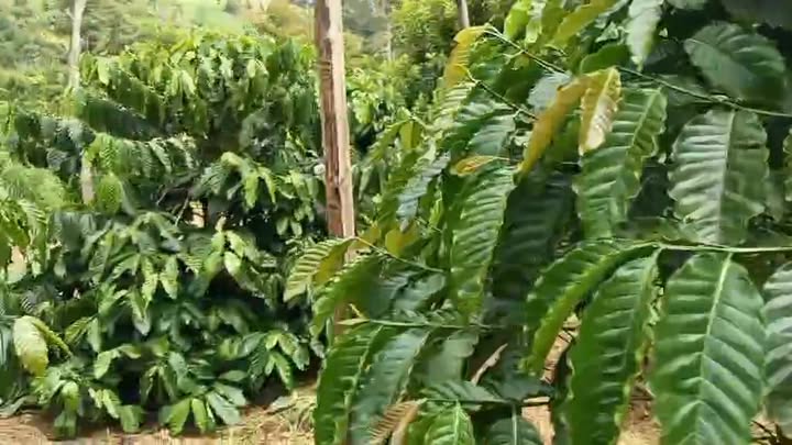 Đất nền 1.5ha phường Nam Bình, giá 1.68 tỷ - Pháp lý rõ ràng, tiện lợi giao thông!