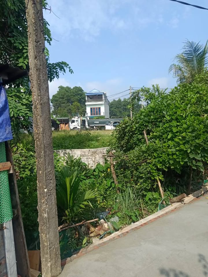 Bán đất tặng nhà cấp 4 đường Tố Hữu, Thịnh Đán, 110m² giá 2.1 tỷ - Ô tô vào tận sân!