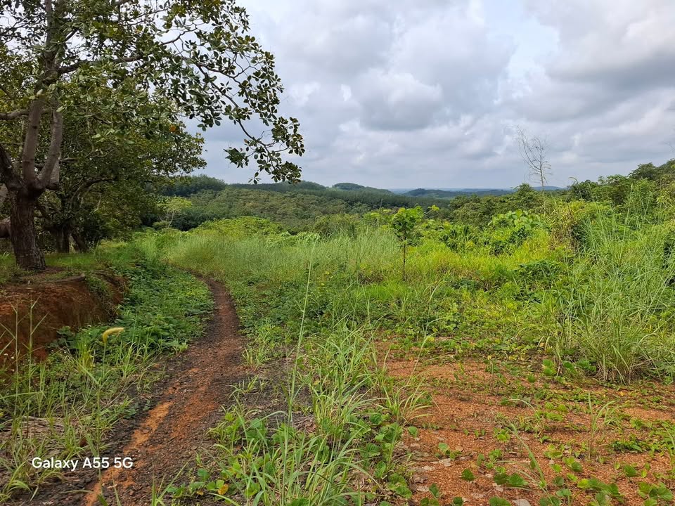 Đất nền Phú Trung 4000m² giá chỉ 520 triệu - Đầu tư sinh lời ngay!