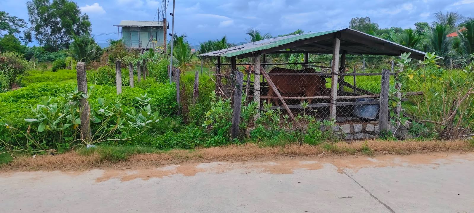 Đất Ninh Thọ, Ninh Hòa 200m² giá 2.3 tỷ - Sổ đỏ chính chủ, ô tô vào tận nơi!