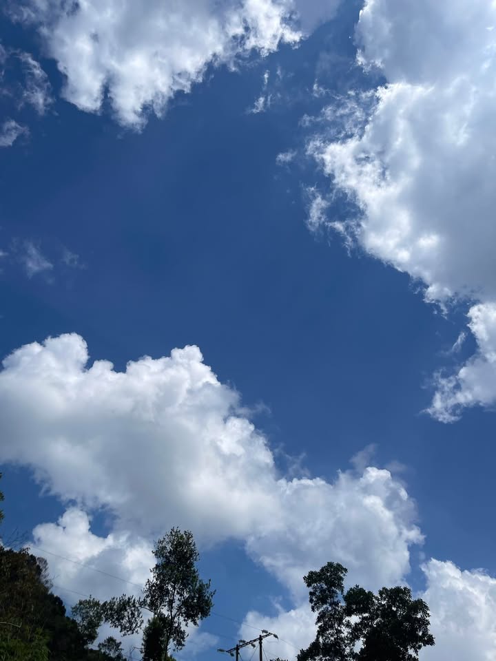 Đất nền đường Phan Bội Châu, Đa Mai, Bắc Giang 90m² giá 3 tỷ - Sổ hồng chính chủ!