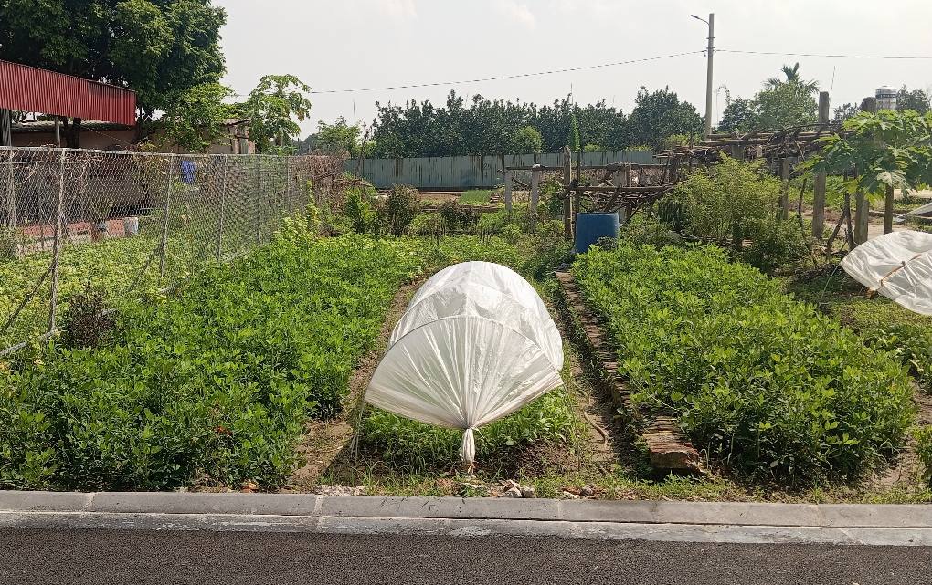 Đất nền Hiền Ninh Sóc Sơn 100m² giá chỉ 3 tỷ - Đầu tư sinh lời hấp dẫn!