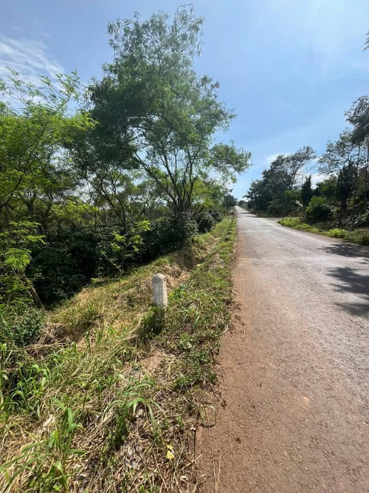 Đất nền mặt tiền 2872m² tại xã Phúc Thọ, Lâm Hà - Giá chỉ 3 triệu/m²!