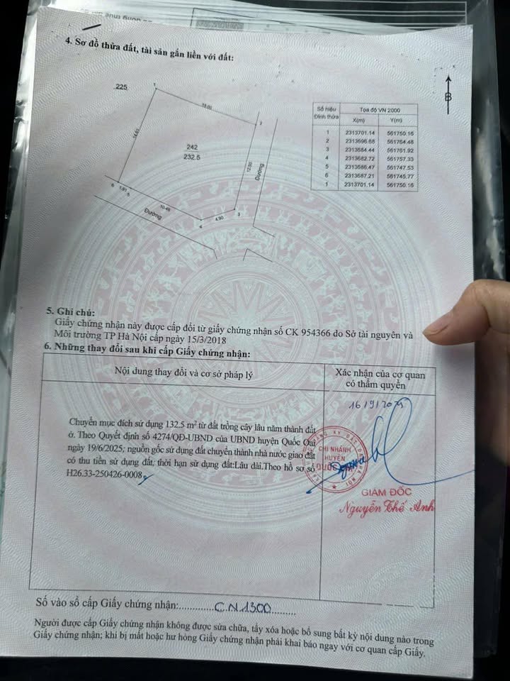 Đất nền lô góc 2 mặt tiền 232m² xã Đông Yên - Cơ hội đầu tư hấp dẫn!