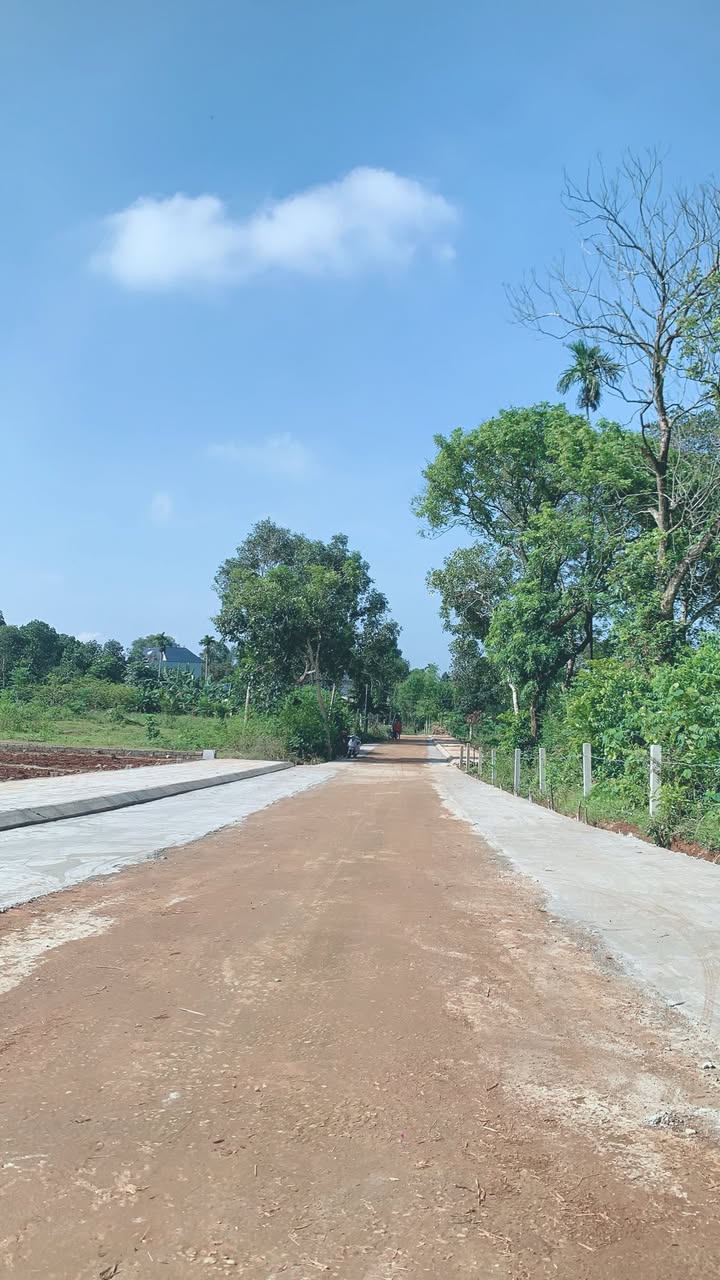 Đất nền liền kề Thọ Tân, Triệu Sơn, 187m² - Đường rộng, giá chỉ 3xx triệu!