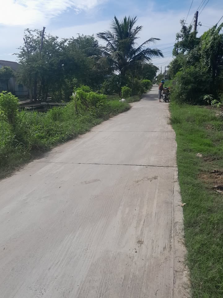 Đất Farm ấp Gò Me, xã Tân Điền, 46000m² giá 1.84 tỷ - Cơ hội đầu tư tuyệt vời!