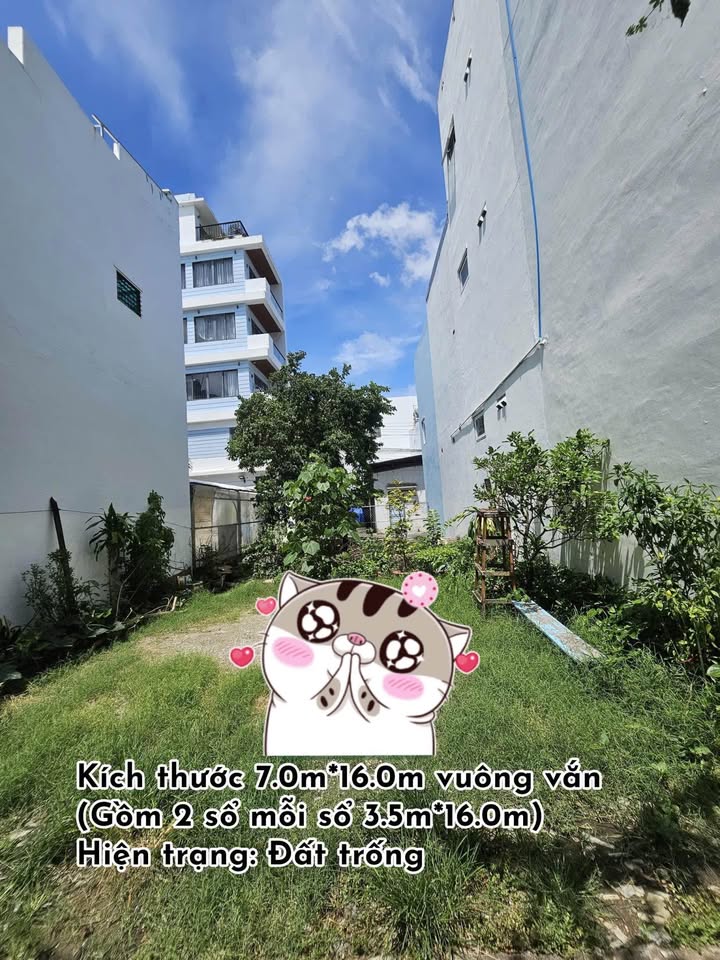 Đất liền kề mặt tiền đường Phước Long 110m² giá 6.16 tỷ - Khu dân trí cao, yên tĩnh!