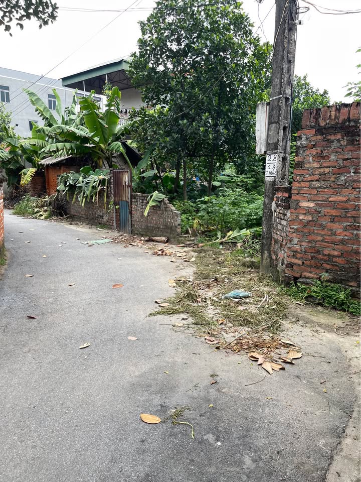 Đất thổ cư 101m² tại Thanh Trù, Vĩnh Yên giá 1.8 tỷ - Đầu tư sinh lời lý tưởng!