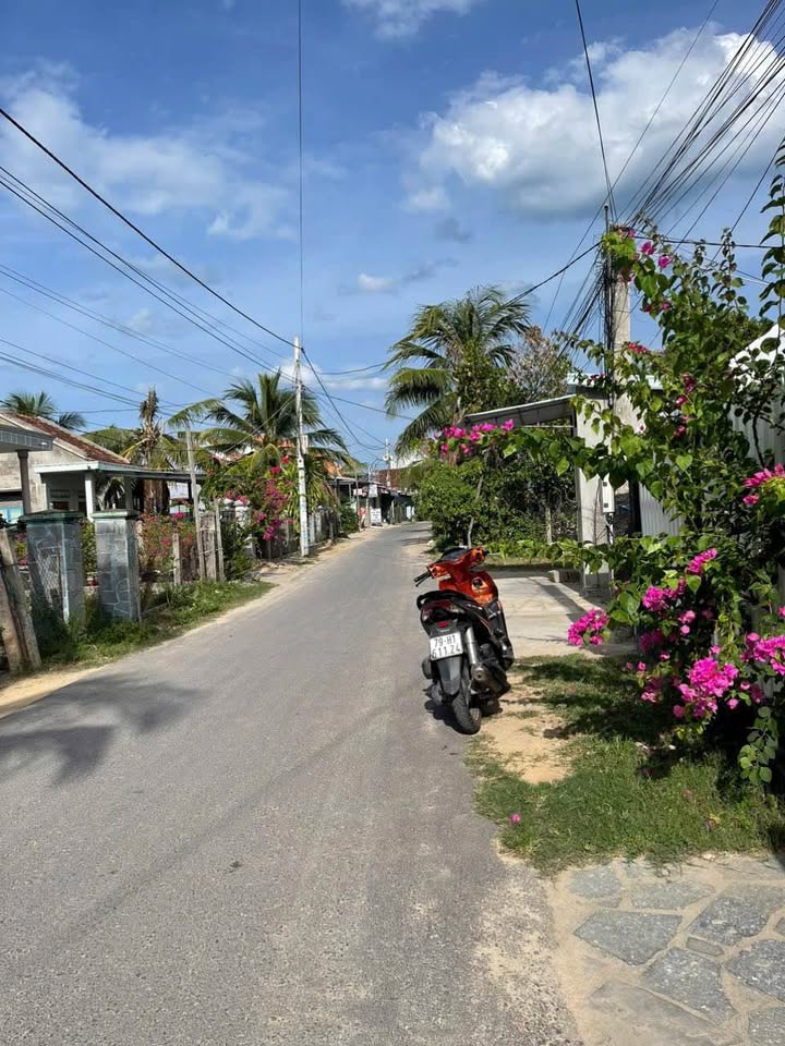 Đất nền Vạn Hưng, Vạn Ninh 1006m² - Cơ hội đầu tư hấp dẫn!