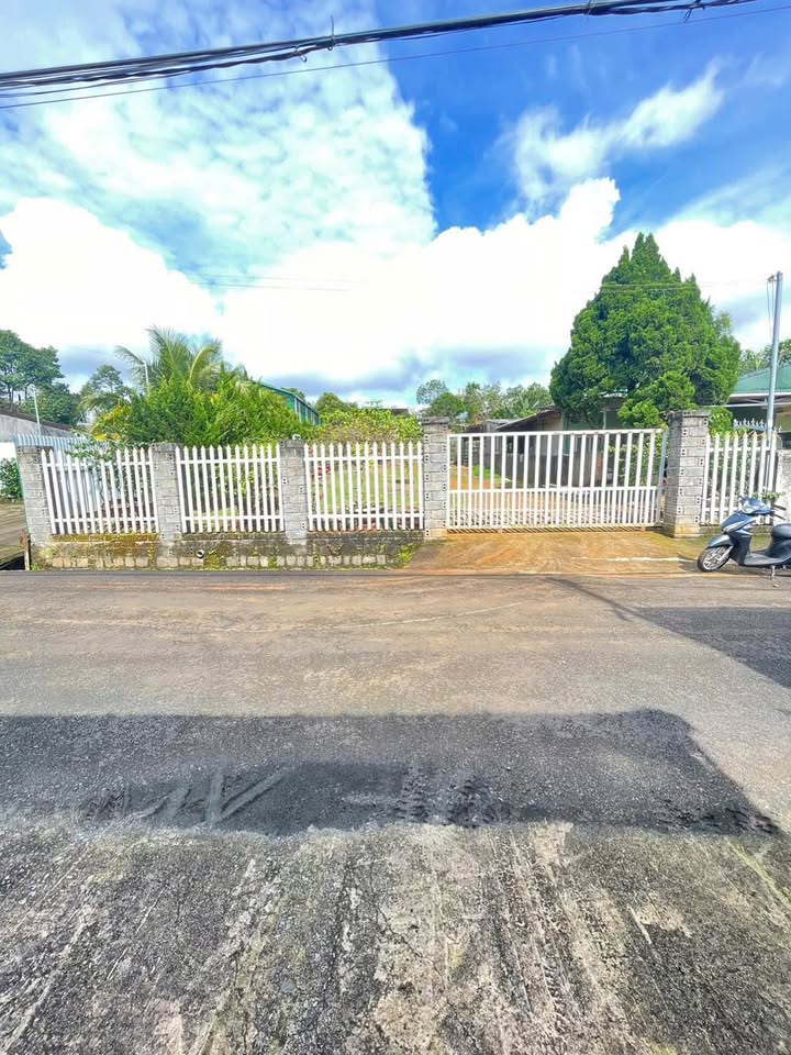 Bán đất Lộc Tiến, Bảo Lộc 1050m² giá 4.99 tỷ - Đầu tư sinh lời ngay!