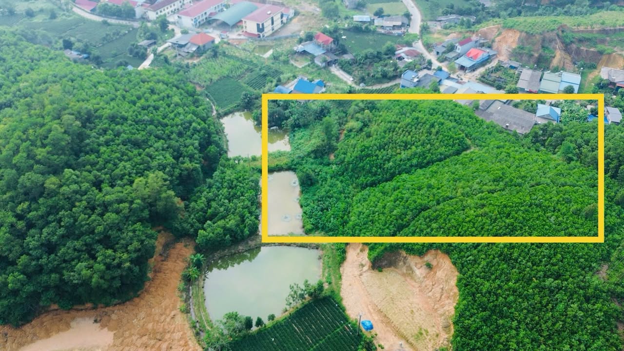 Đất thổ cư 7500m² tại Vô Tranh, Phú Lương - Giá chỉ 3 tỷ!