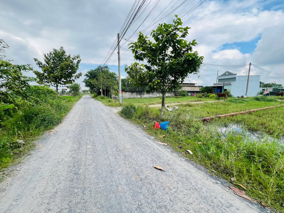 Đất nền Mỹ Hạnh Bắc 130m² giá 1.5 tỷ - Sổ hồng riêng, đầu tư sinh lời!