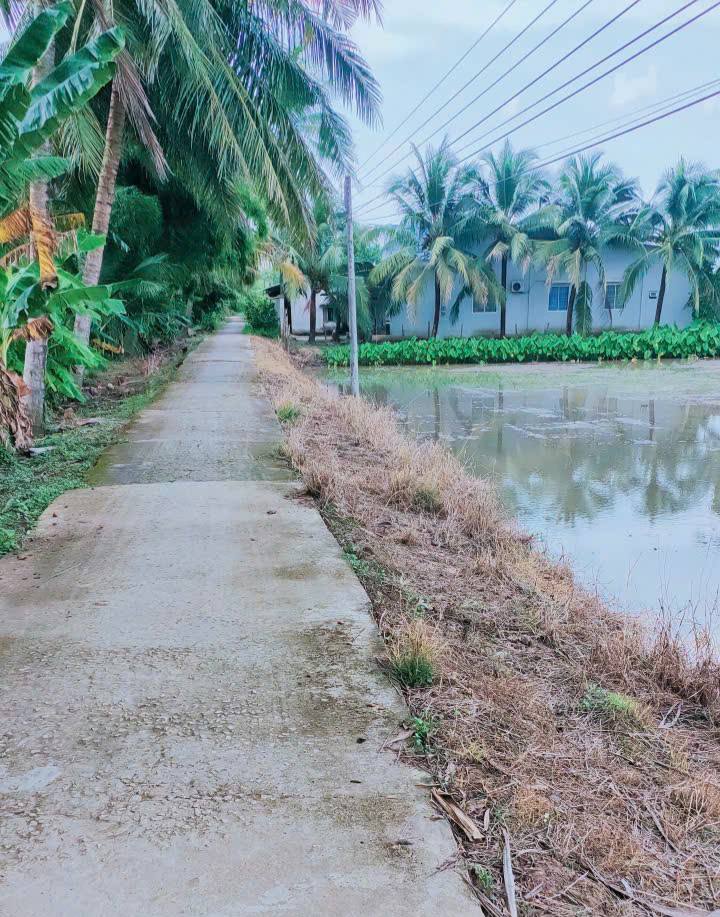 Đất nông nghiệp mặt tiền lộ DAL xã Tân Hưng, Long Phú - 30.000m² giá 3.6 tỷ - Cơ hội đầu tư tuyệt vời!