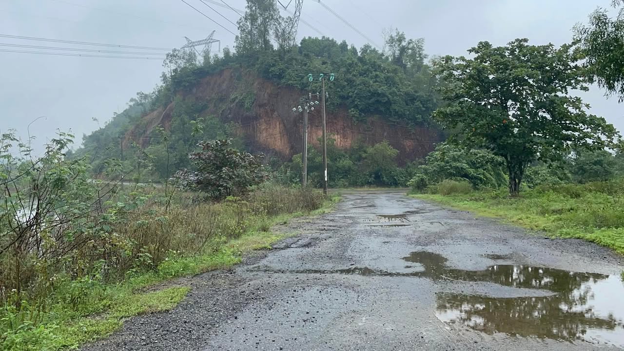 Đất trồng cây lâu năm tại Hòa Nhơn, Đà Nẵng 3000m² giá chỉ 1.5 tỷ - Cơ hội đầu tư tuyệt vời!