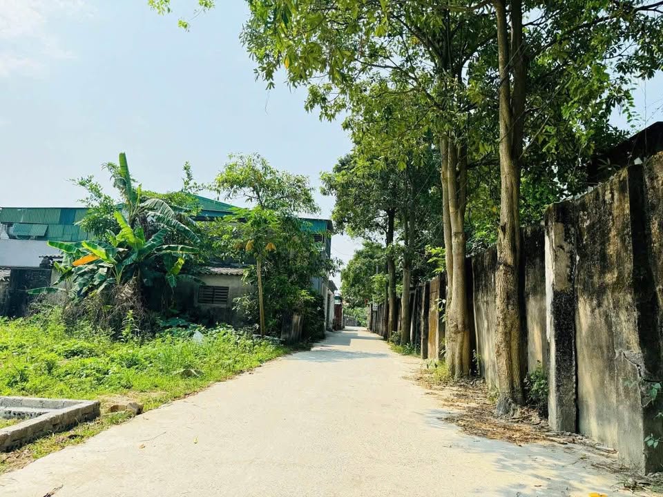 Đất Nền Nghi Liên - Vinh 75.6m² giá 1 tỷ - Đường thông thoáng, vị trí đắc địa!