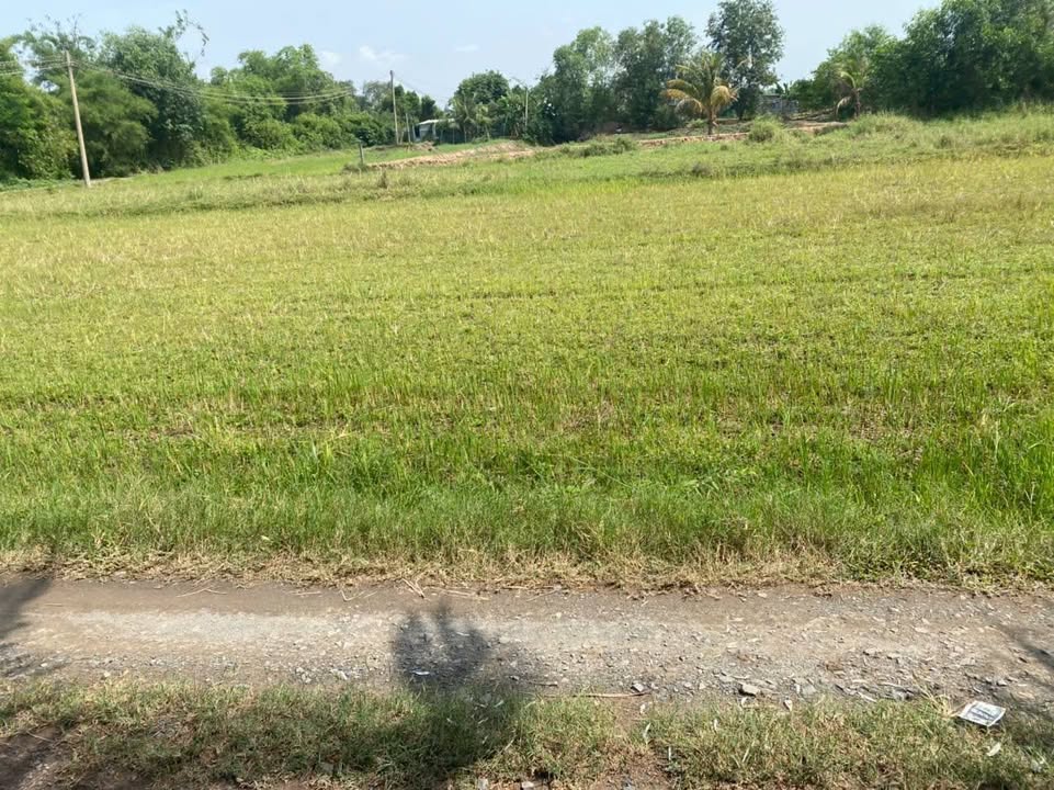 Đất thổ cư 105m² tại Hòa Khánh Đông, Đức Hòa chỉ 590 triệu - Cơ hội đầu tư hấp dẫn!