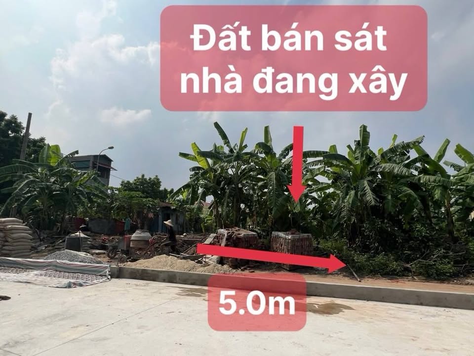 Đất tái định cư Mai Lâm Đông Anh 85m² - Sổ đỏ chính chủ, giao dịch nhanh!