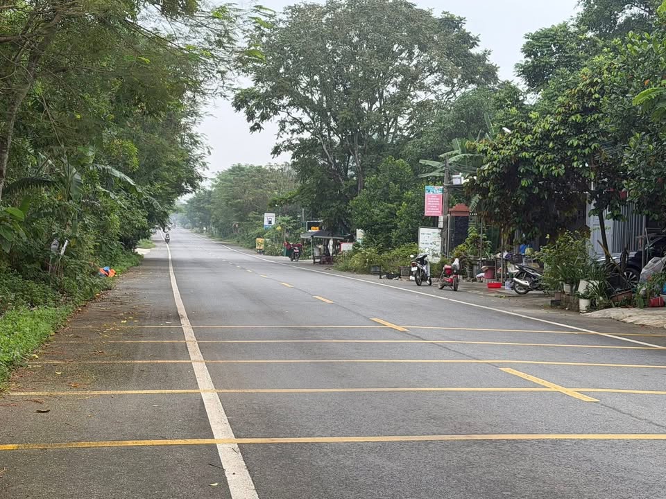 Đất nền Cúc Phương, Ninh Bình 468m² giá thỏa thuận - Cơ hội đầu tư hiếm có!