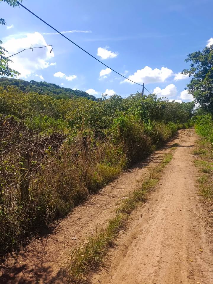 Đất Farm 18.000m² tại thôn 12, xã Nam Dong, Đắk Nông - Giá 1.4 tỷ, Chính chủ bán gấp!