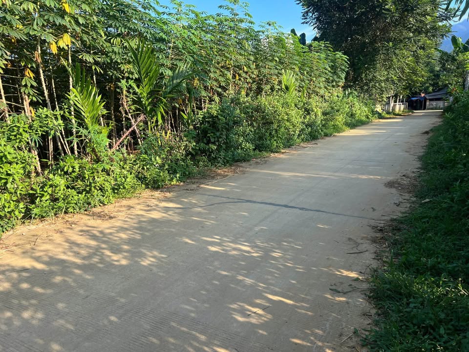 Đất nền Lỗ Sơn, Tân Lạc 300m² chỉ 299 triệu - Cơ hội đầu tư tuyệt vời!