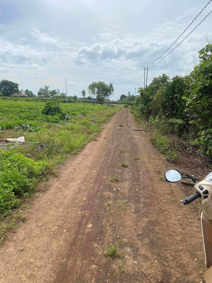 Đất nền Xuân Thọ 12000m² giá 1.95 tỷ - Cơ hội đầu tư tuyệt vời!