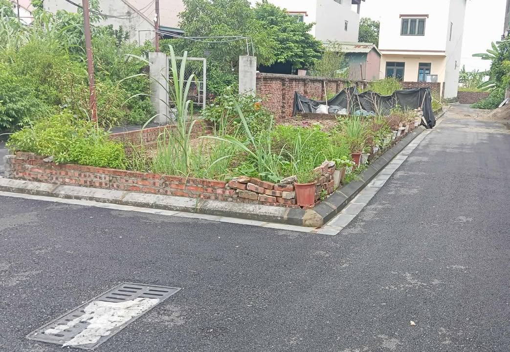 Đất nền lô góc 65m² tại Đông Anh - Đầu tư sinh lời nhanh chóng chỉ 6 tỷ!