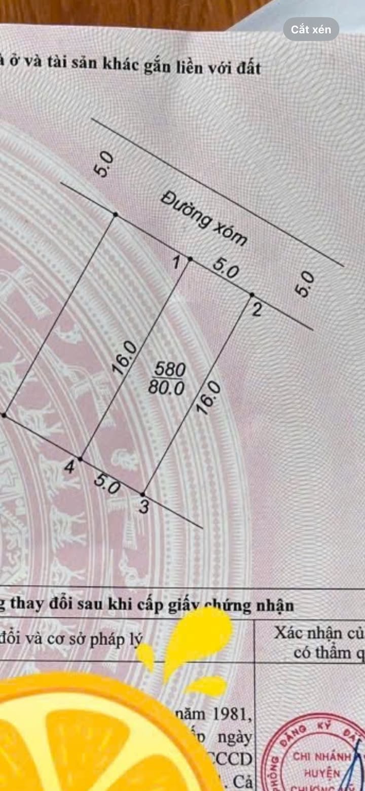 Đất nền Phú Nghĩa, Chương Mỹ 80m² chỉ 2.4 tỷ - Cơ hội đầu tư tuyệt vời!