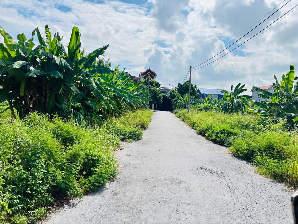 Đất Chung Cư Cách Thượng Nam Sơn 203m² giá 4.263 tỷ - Đầu tư sinh lời tuyệt vời!