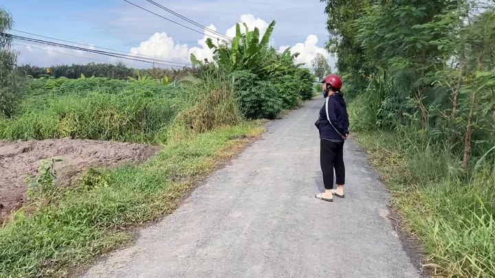 Đất mặt tiền Đê Long Hải, Long Bình, Gò Công Tây 990m² - Giá 650 triệu, chính chủ bán gấp!