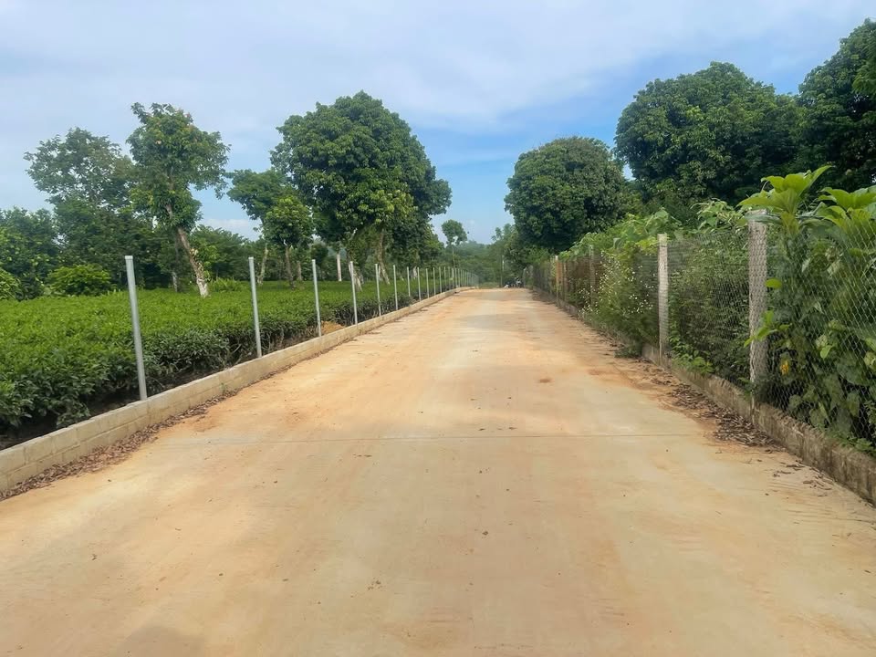 Đất nền thổ cư 1000m² tại Thôn Phú Yên, Ba Vì - Lô góc hai mặt tiền, giá thỏa thuận!