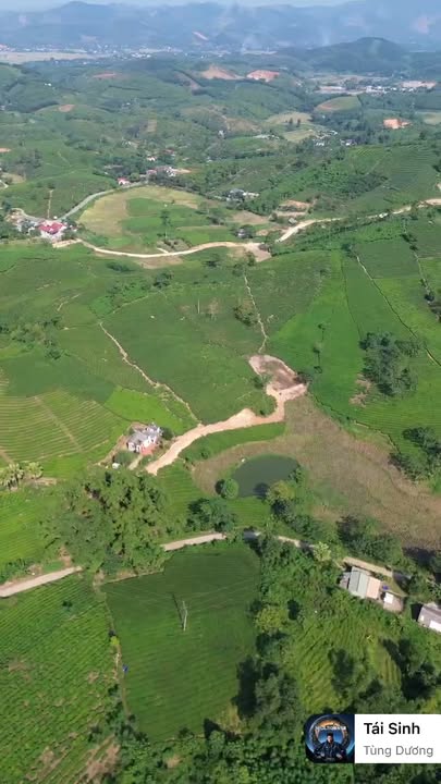 Bán Farm 2172m² tại xã Tân Lập, Thanh Sơn - Vị trí đắc địa, phong thủy tốt!