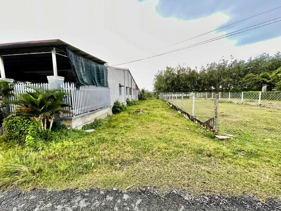 Đất thổ cư 216m² tại ấp Phước Hội A, Tây Ninh - Sổ hồng chính chủ, giá chỉ 700 triệu!