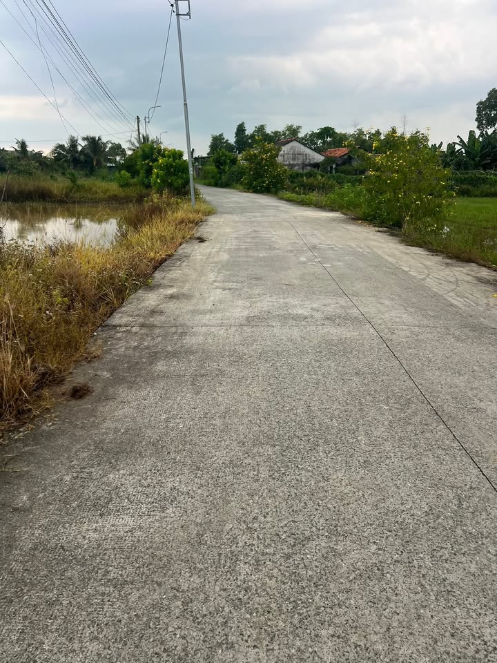 Đất lúa 3300m² xã Tân Ân, Cần Đước - Giá chỉ 1.5 tỷ, đầu tư sinh lời!