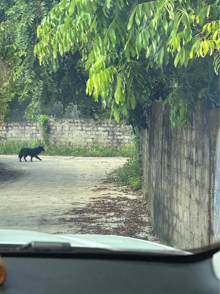 Đất Hồng Phong Ninh Dương 100m² giá 1 tỷ - Nhà cấp 4 tiện nghi, chính chủ!