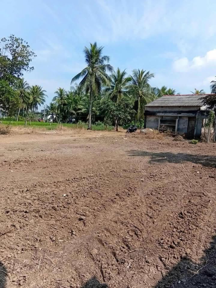 Đất Gò Công Tây 1.734m² giá chỉ 2.3 tỷ - Cơ hội đầu tư vàng!