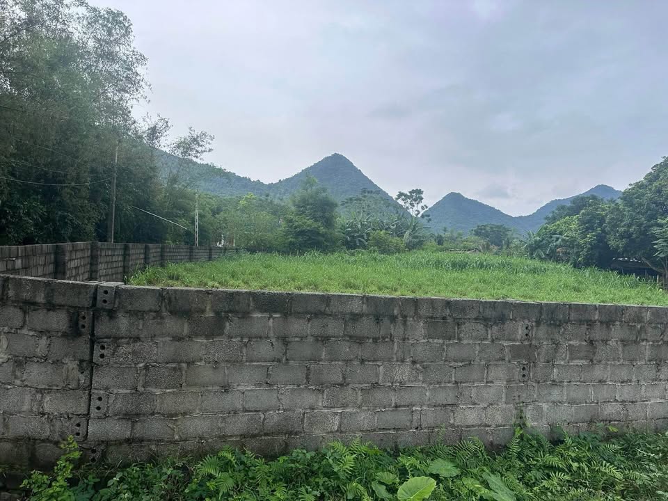 Đất nền Kỳ Phú Nho Quan 740m² giá 2 tỷ - Đường thông thoáng, vị trí đẹp!