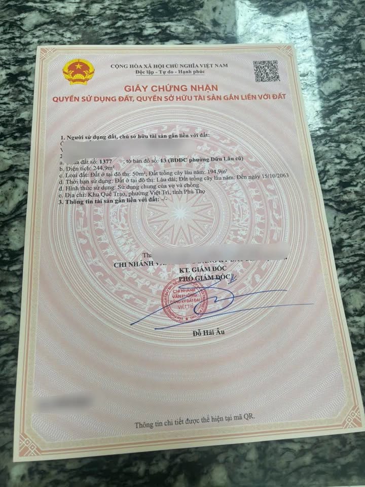 Đất Dữu Lâu, Việt Trì 245m² giá 3 tỷ - Đầu tư sinh lời hấp dẫn!