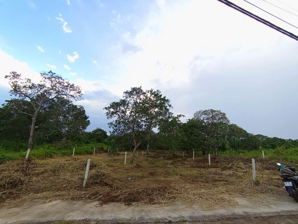 Đất nền 500m² phường Bình Lộc, chỉ 700 triệu - Sổ đỏ chính chủ, sang tên ngay!