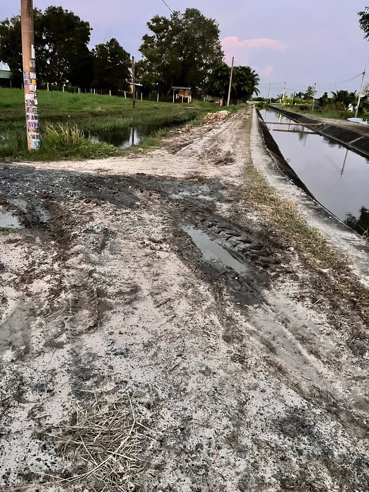 Đất lúa 1089m² tại Đức Lập Hạ, Long An - Giá 1.45 tỷ, Sổ đỏ chính chủ!