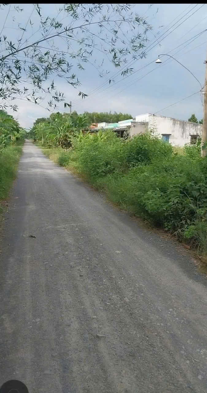 Đất nền 240m² hướng Tây tại Tân Hiệp, giá 550 triệu - Sổ đỏ chính chủ