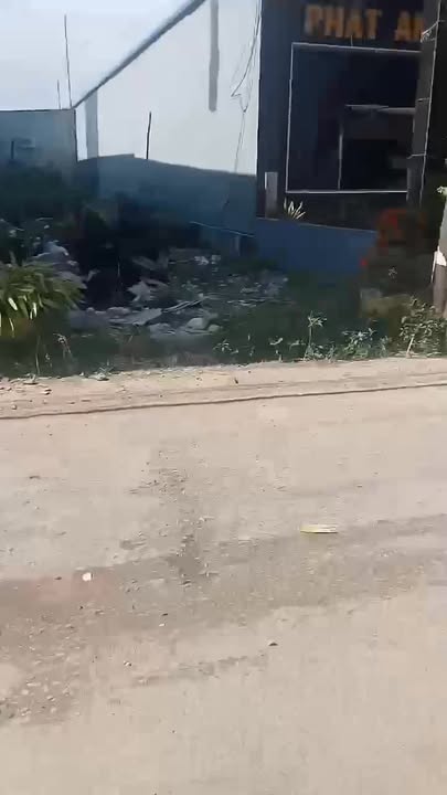 Đất nền mặt tiền đường Đê, Sông Đốc, 136m² giá 980 triệu - Cơ hội đầu tư sinh lời!