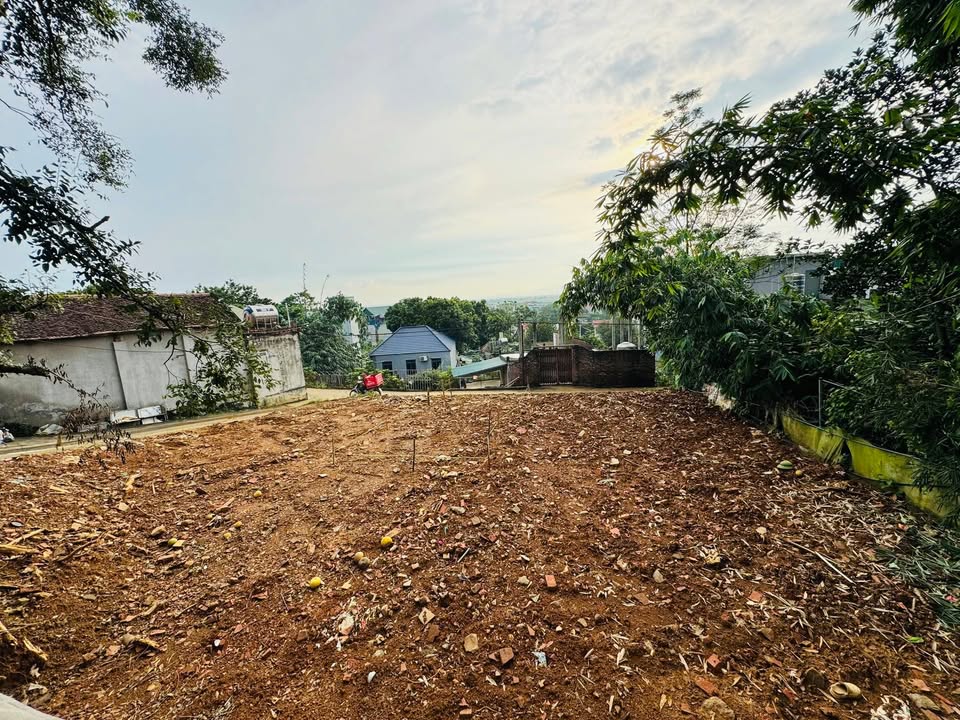 Đất thổ cư 305m² tại thôn Đồng Lư, Quốc Oai - Đầu tư lý tưởng với giá mềm!