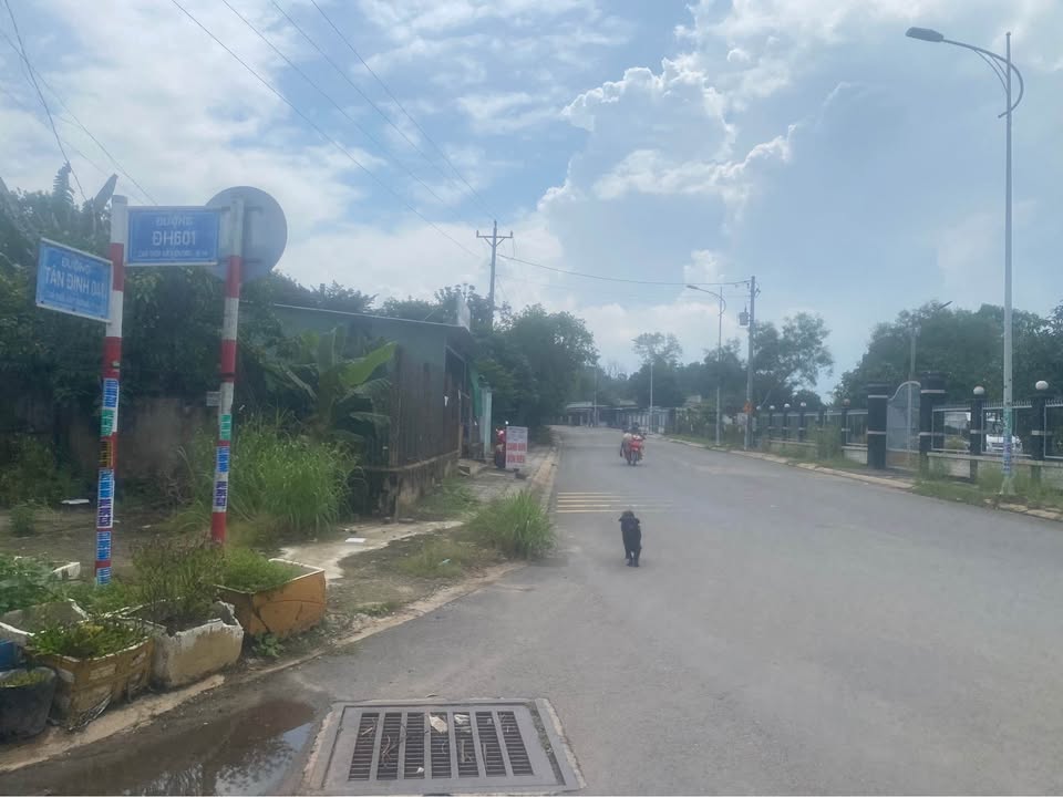 Đất nền Tân Định 118m² giá chỉ 1.17 tỷ - Mặt tiền đường lớn, giao thông thuận tiện!